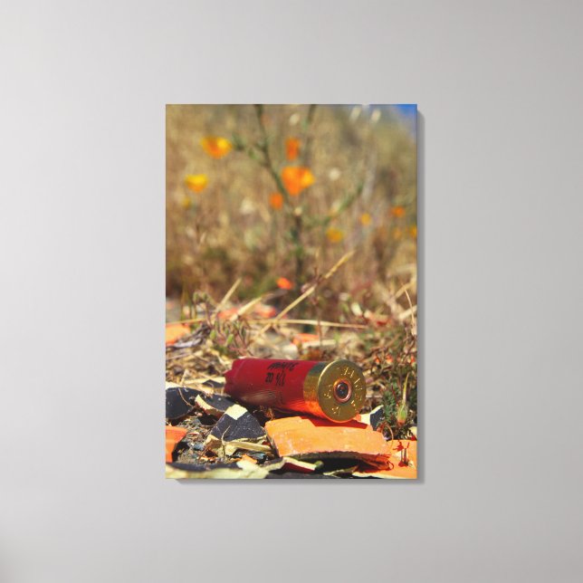 Lienzo Balas2 (Anverso)