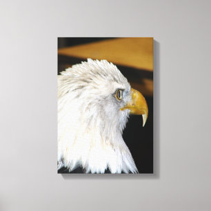 Lienzo Bald Eagle