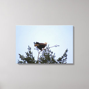 Lienzo Bald Eagle