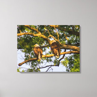 Lienzo Bald Eagle Pair