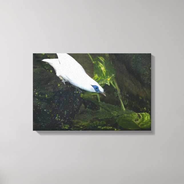 Lienzo Bali Mina (Anverso)