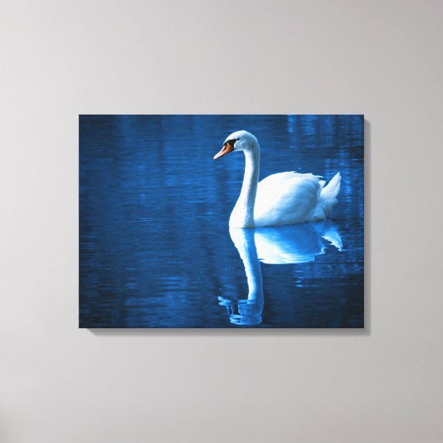 Lienzo Bañarse cisne blanco en una imagen en tela de lago (Anverso)