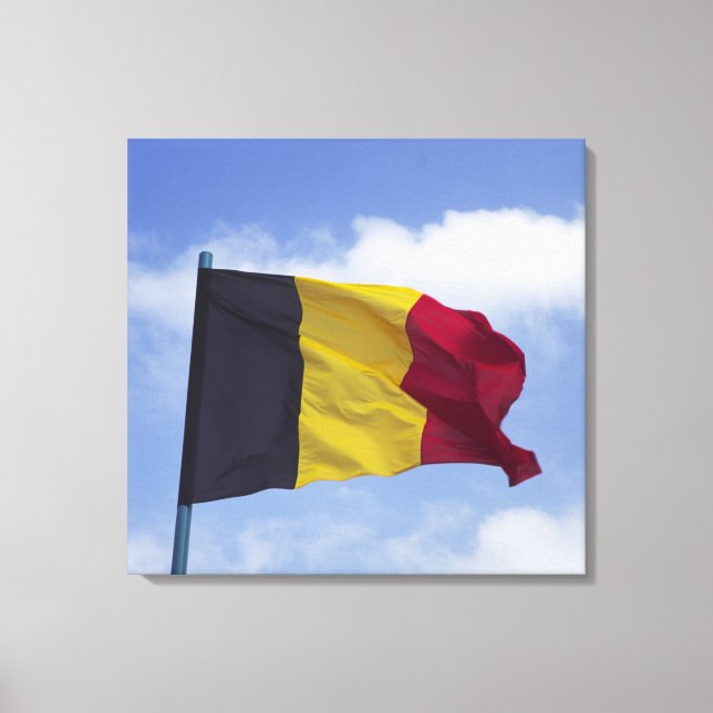 Lienzo bandera belga RF) (Anverso)