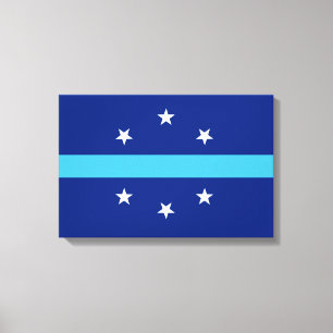 Lienzo Bandera de Anaheim (California, Estados Unidos)