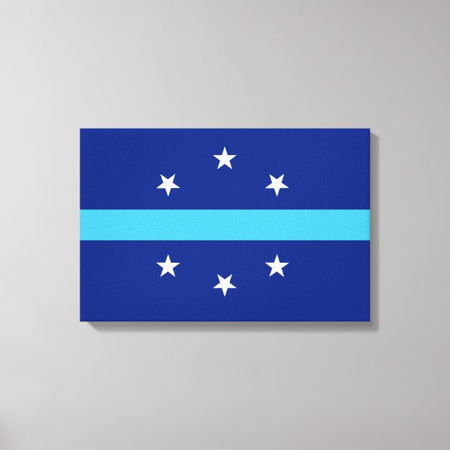 Lienzo Bandera de Anaheim (California, Estados Unidos) (Anverso)
