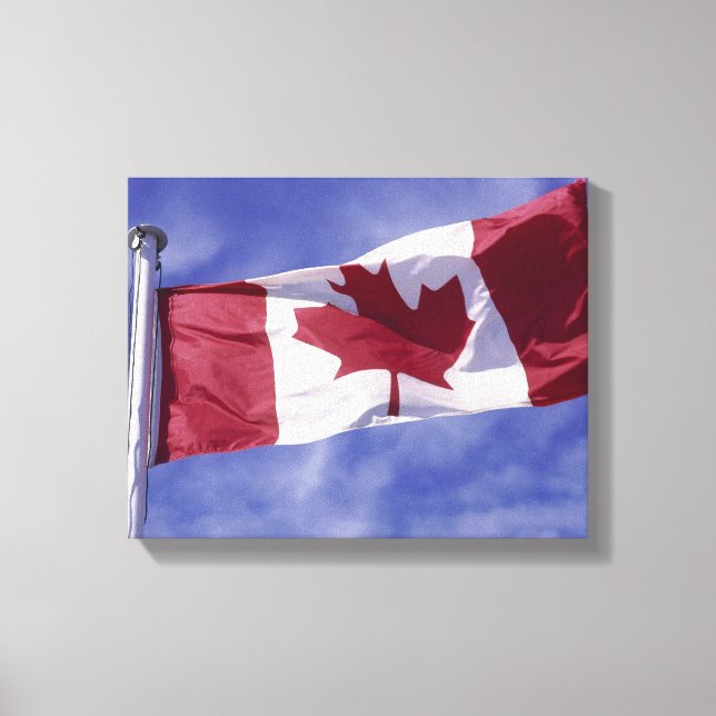 Lienzo Bandera de Canadá (Anverso)