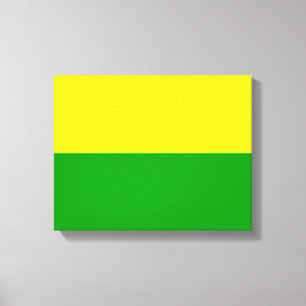 Lienzo Bandera de La Haya