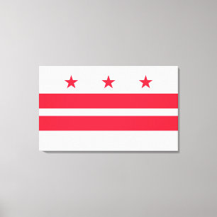 Lienzo Bandera de Washington D.C. (Distrito de Columbia)