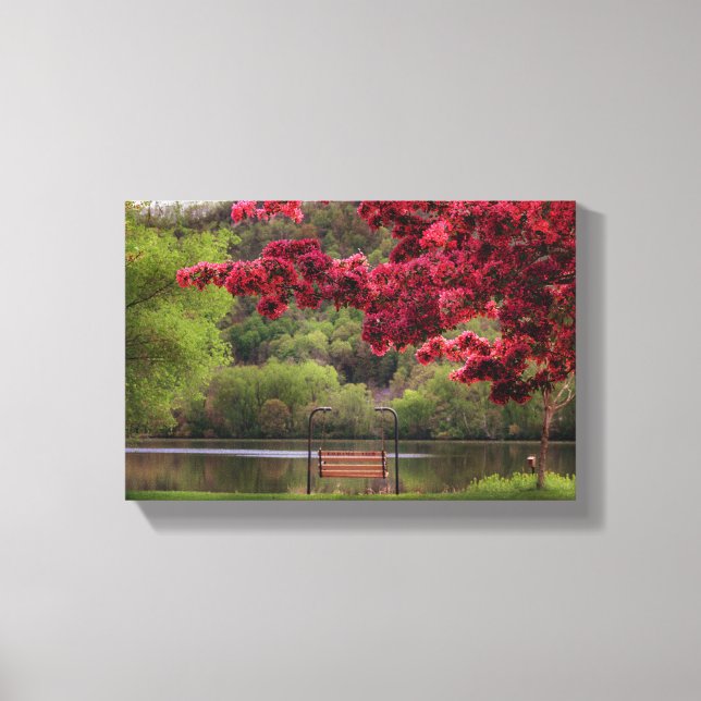 Lienzo Bañera de oscilación 12x8.75" (Anverso)