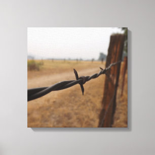 Lienzo Barb Wire Fence
