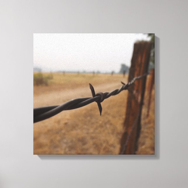 Lienzo Barb Wire Fence (Anverso)