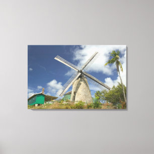 Lienzo BARBADOS, Costa Noreste, Morgan Lewis: Morgan