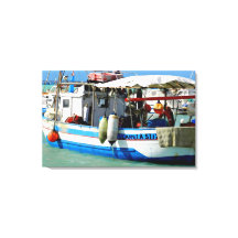 Barco pesquero en la costa toscana, pintura.