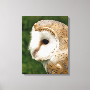 LIENZO BARN OWLS