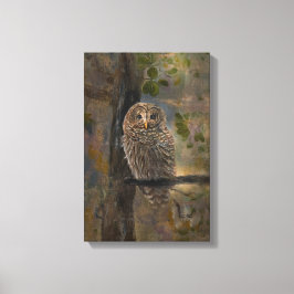Lienzo Barred Owl Painting 14 x 28