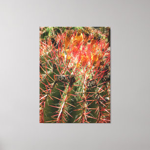 Lienzo Barrel Cactus