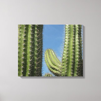 Lienzo Barrel Cactus I Desert Photo