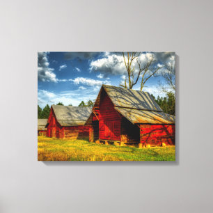 Lienzo Barrera Roja de América Rural