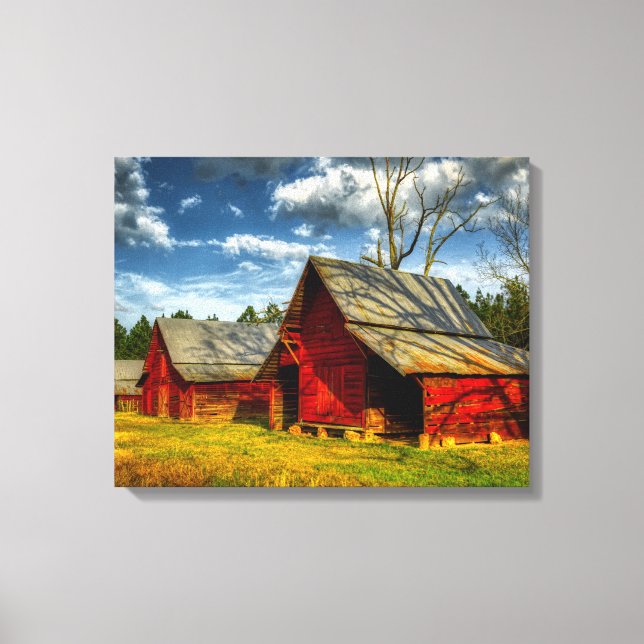 Lienzo Barrera Roja de América Rural (Anverso)