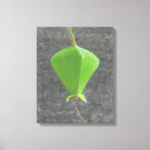 Lienzo Barringtonia Acutangula
