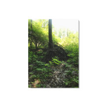 Base De Árbol De Gnarled