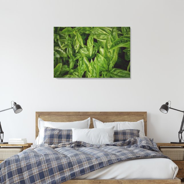 Lienzo Basil Canvas (Insitu(Dormitorio))