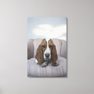Lienzo Basset Hound