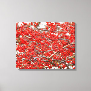 Lienzo Bayas de acebo de invierno rojo brillante
