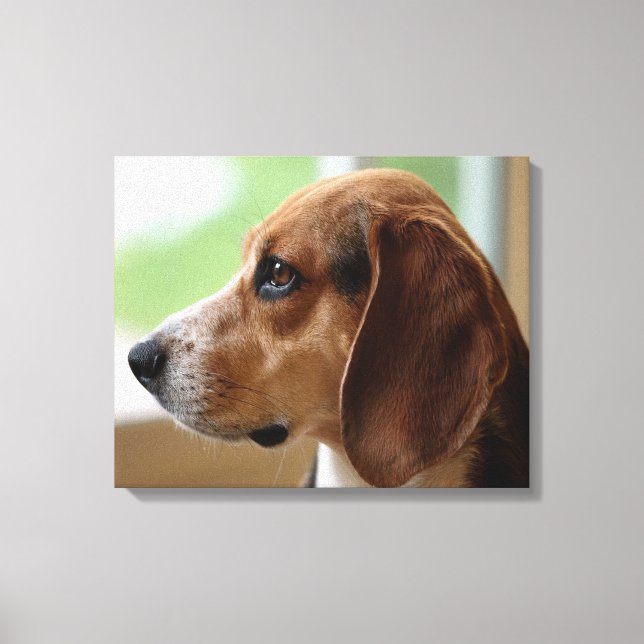 Lienzo Beagle de sueño de día (Anverso)