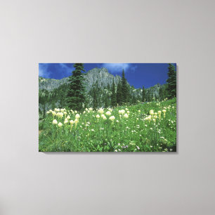 Lienzo Beargrass en el lago Eunice, Mt. Rainier NP, WA,
