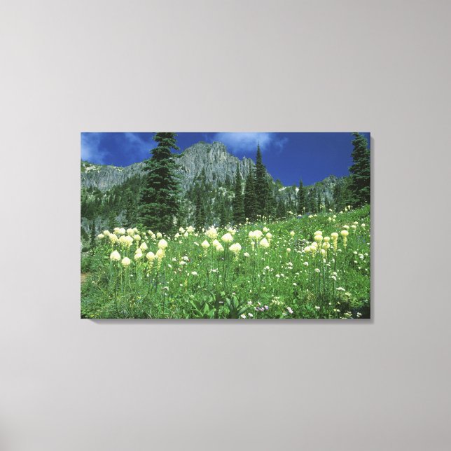 Lienzo Beargrass en el lago Eunice, Mt. Rainier NP, WA, (Anverso)