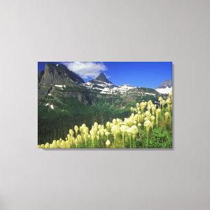 Lienzo Beargrass en Logan Pass en el Parque Nacional Glac