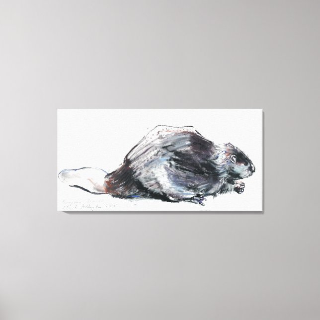 Lienzo Beaver europeo (Anverso)