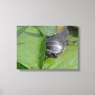 Lienzo Bebé con tortuga pintada en las almohadillas de li