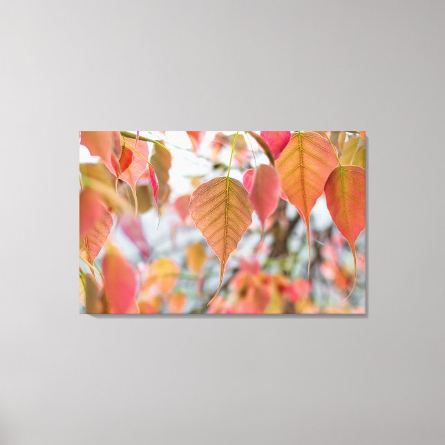 Lienzo Bebé de planta de Asathu deja un presupuesto de ca (Anverso)