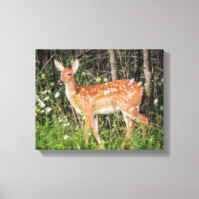 Lienzo Bebé lindo Animales Fawn Canvas Imprimir (Anverso)