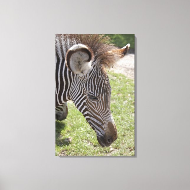 Lienzo Bedfordshire, Inglaterra (Anverso)