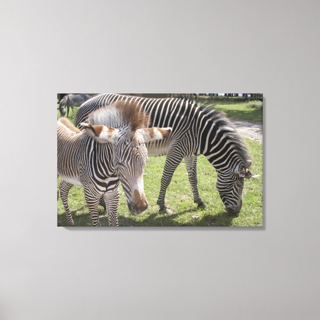 Lienzo Bedfordshire, Inglaterra 2 (Anverso)