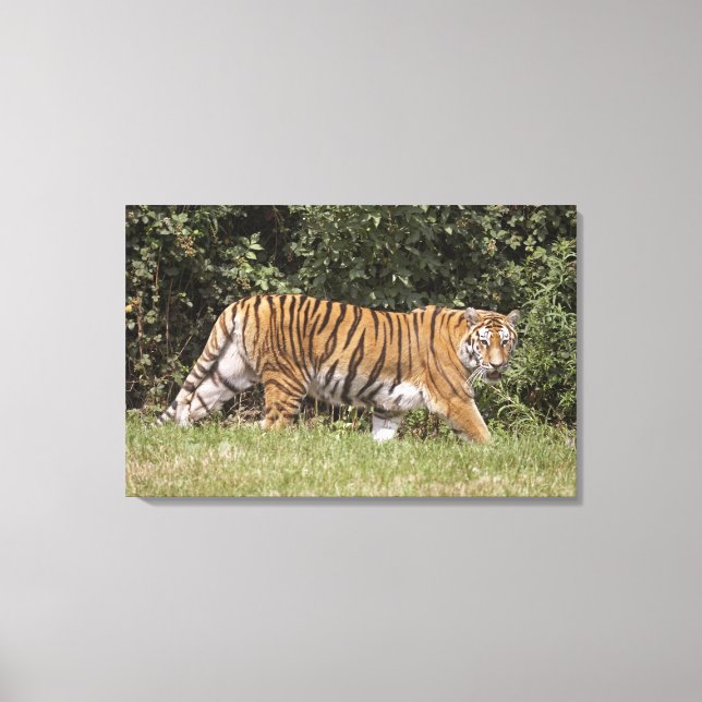 Lienzo Bedfordshire, Inglaterra 3 (Anverso)