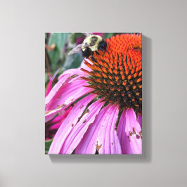 Lienzo Bee and Coneflower Faux Wrapped Canvas Print