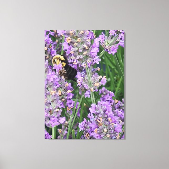 Lienzo Bee on Lavender Flower (Anverso)