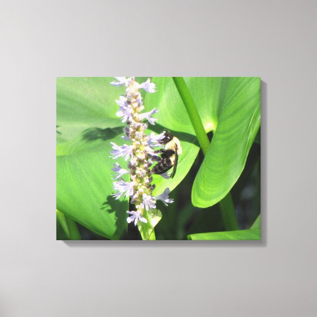 Lienzo Bee on the Flower (Anverso)