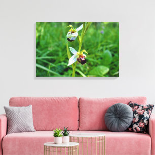 Lienzo Bee Orchid