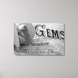 Lienzo Begonia Gems Pianoforte