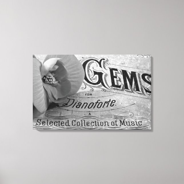 Lienzo Begonia Gems Pianoforte (Anverso)