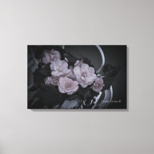 Lienzo Begonias On Bench Garden Scene Gallery Canvas