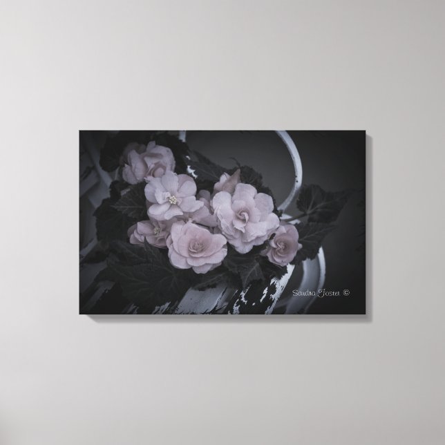 Lienzo Begonias On Bench Garden Scene Gallery Canvas (Anverso)