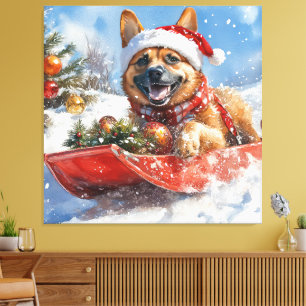 Lienzo Belgian Malinoi en Trineo Deja que nieve Navidad