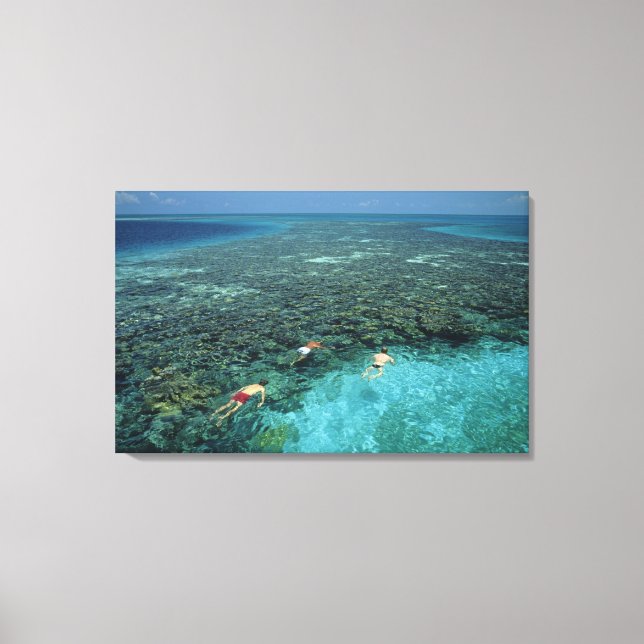 Lienzo Belice, Arrecife de la Barrera, Lighthouse Reef, A (Anverso)
