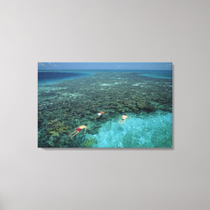 Lienzo Belice, Arrecife de la Barrera, Lighthouse Reef, A